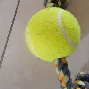 Meet your Posher, Chantal